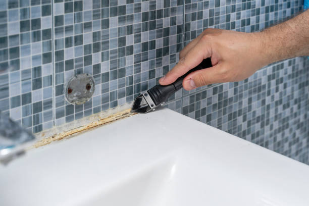 Best Local Mold Removal Service  in Wasco, CA
